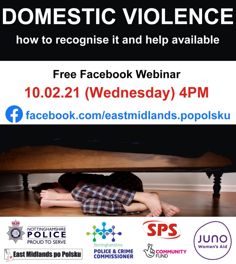 Domestic Violence webinar information.